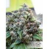 White Widow, Фасовка: 3, изображение 3