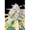 Original Auto Afghan Kush, Фасовка: 1, изображение 6