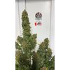 Lemonade Killer auto RBX, Фасовка: 3, изображение 5