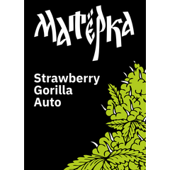 Strawberry Gorilla Auto, Фасовка: 3