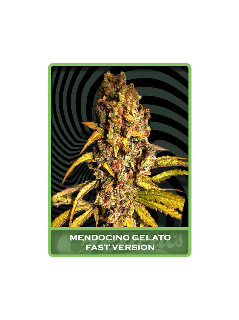 Mendocino Gelato Fast, Фасовка: 5